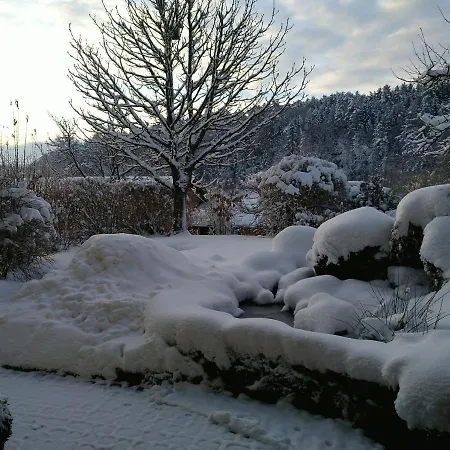 아파트 Adelhardt *