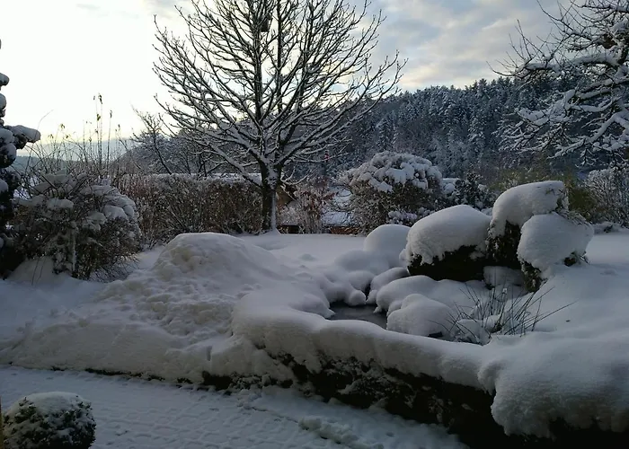 아파트 Adelhardt *